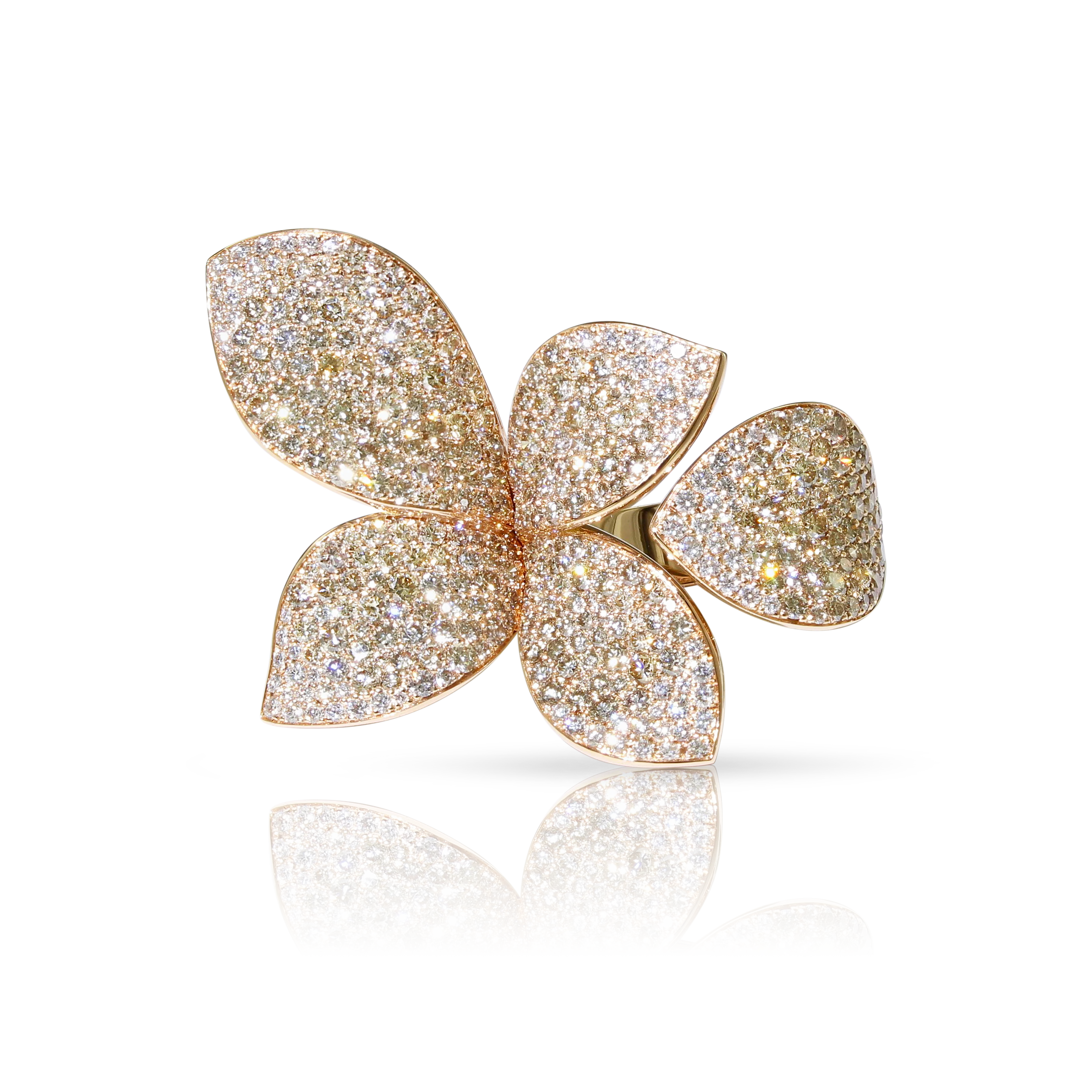 GIARDINI SEGRETI RING