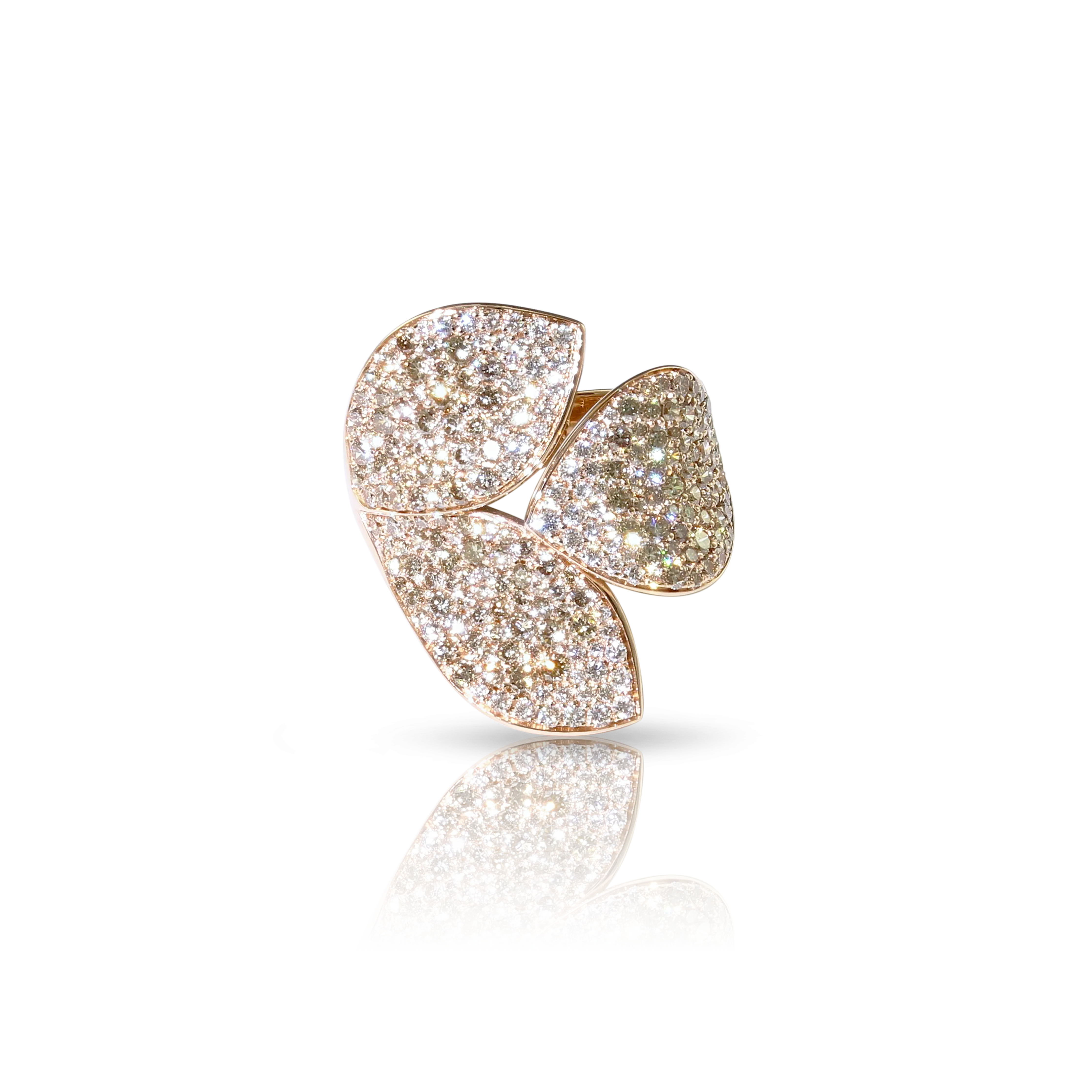 GIARDINI SEGRETI RING