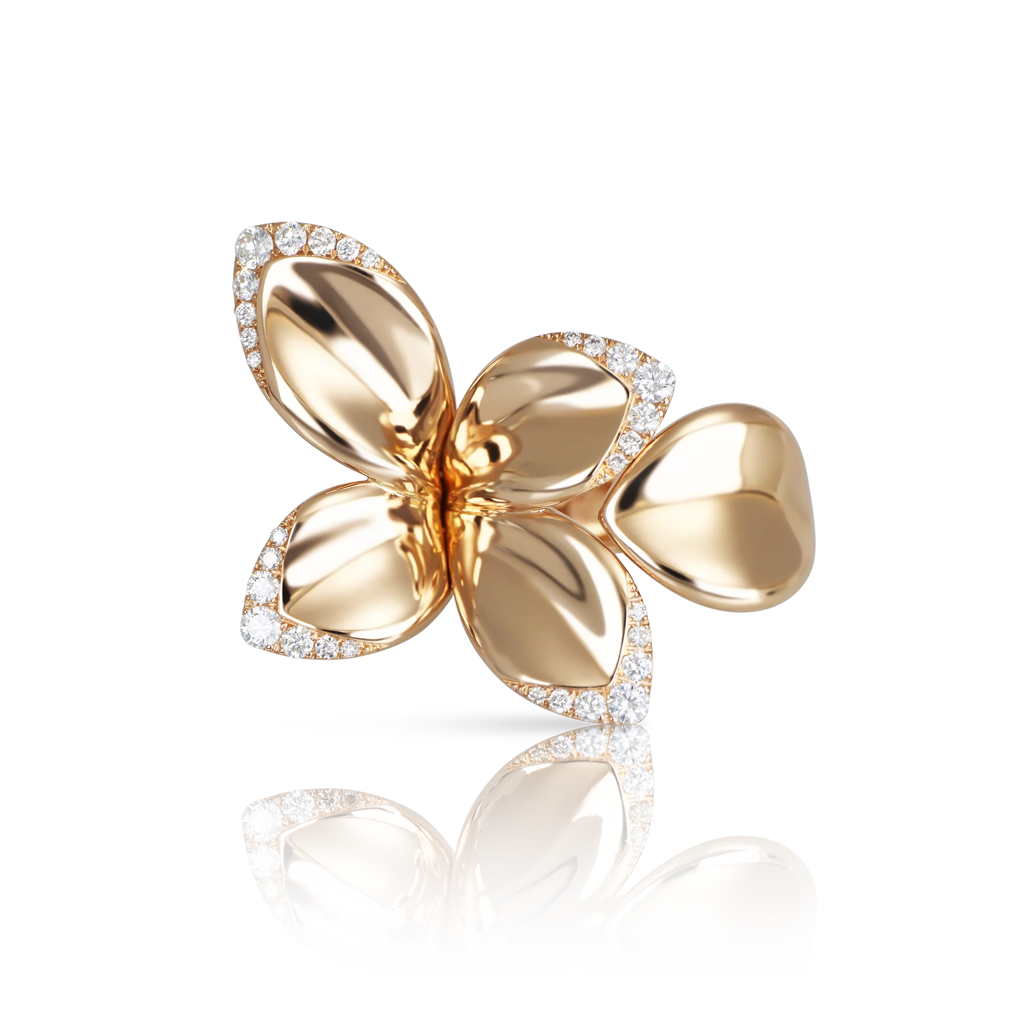 GIARDINI SEGRETI RING
