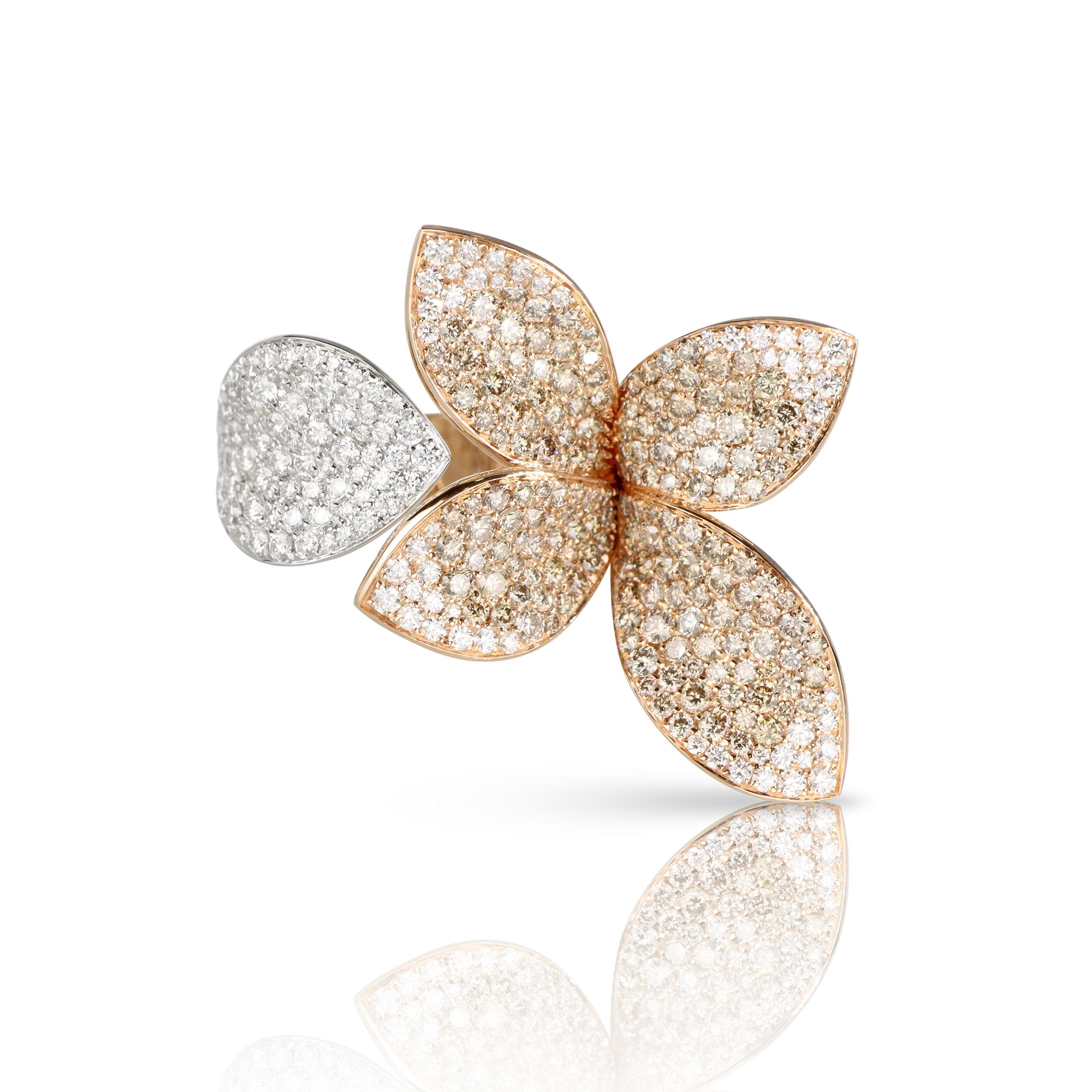 GIARDINI SEGRETI RING