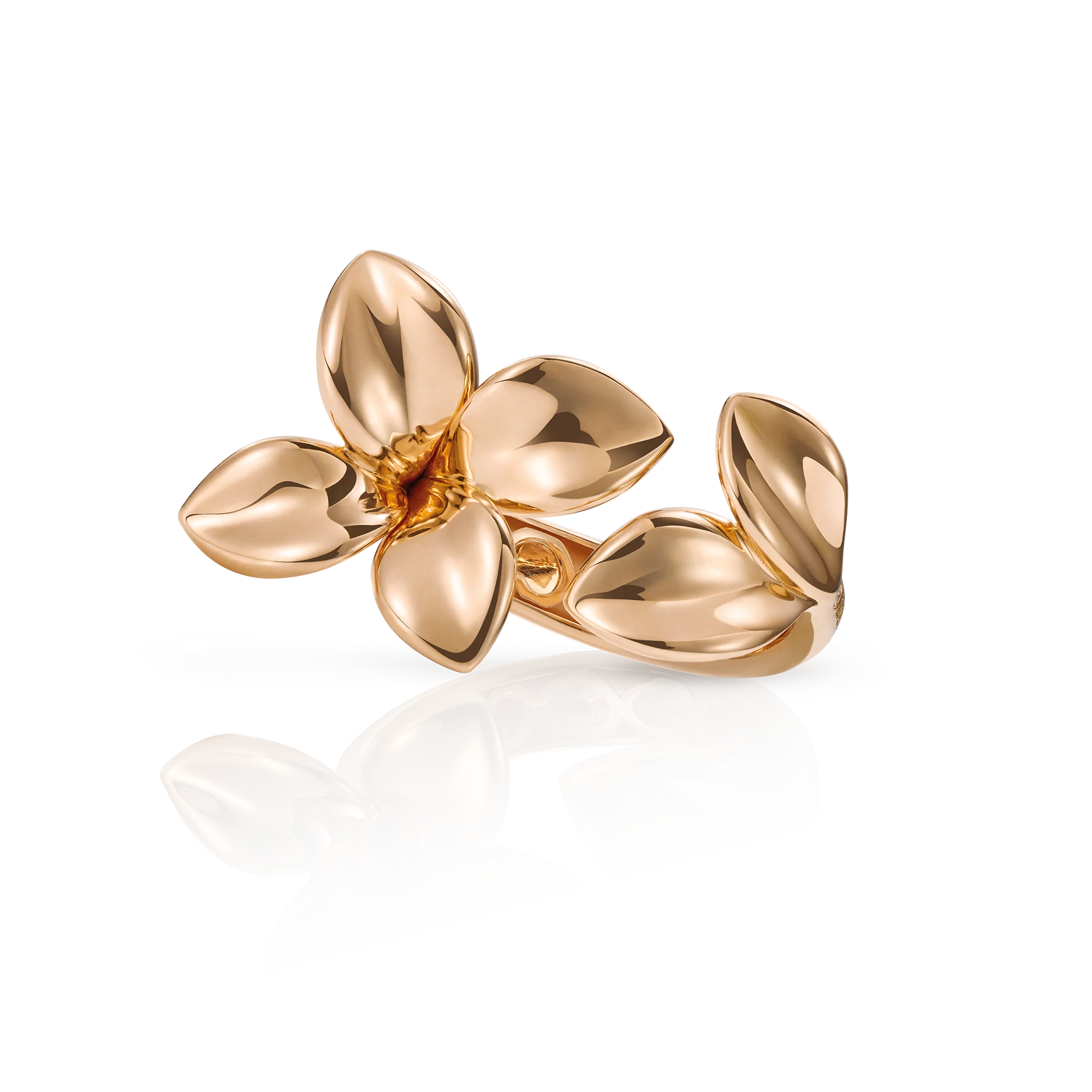 GIARDINI SEGRETI RING