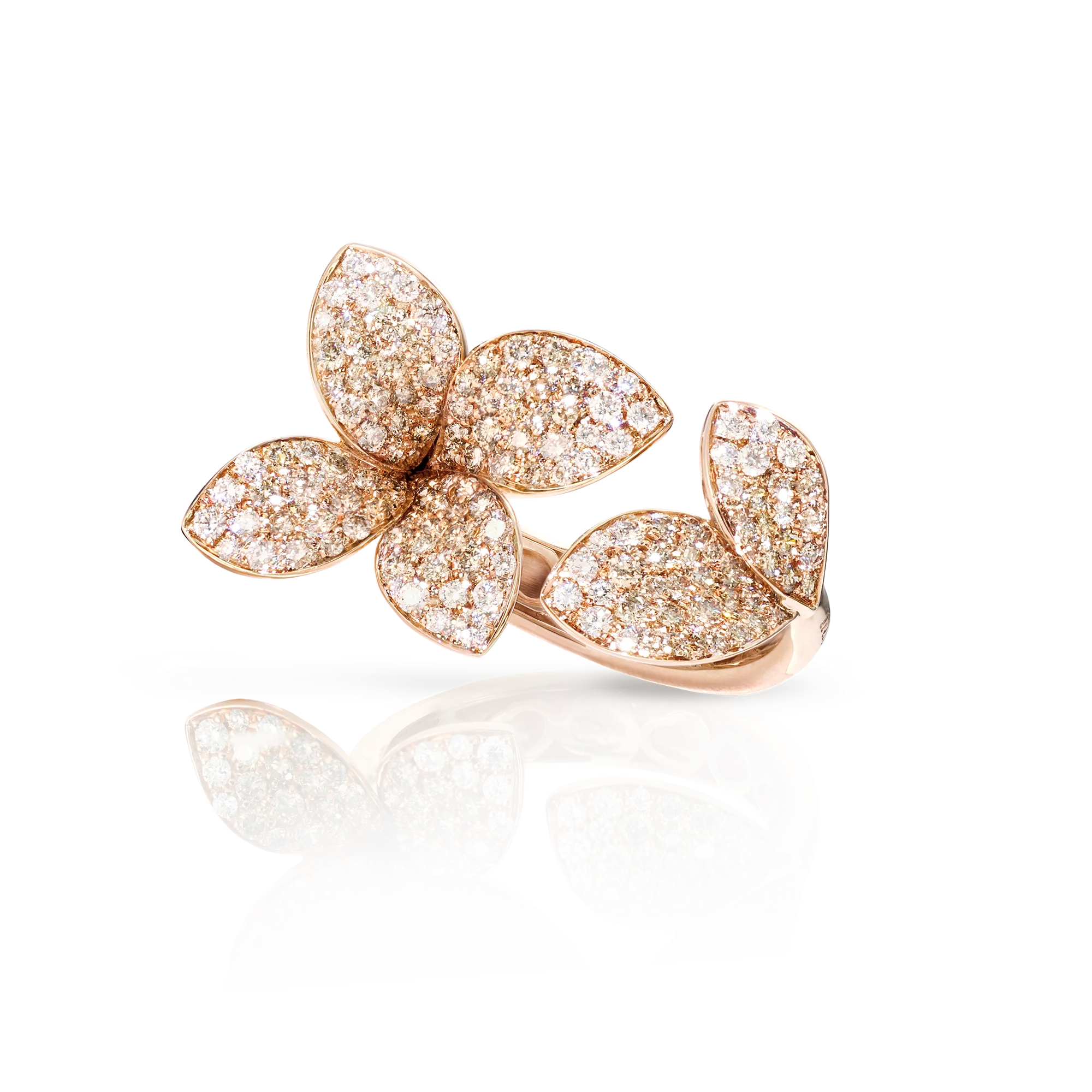 GIARDINI SEGRETI RING